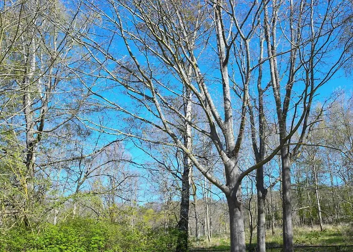 Haus Am Hoevt - 2 Apartmán *